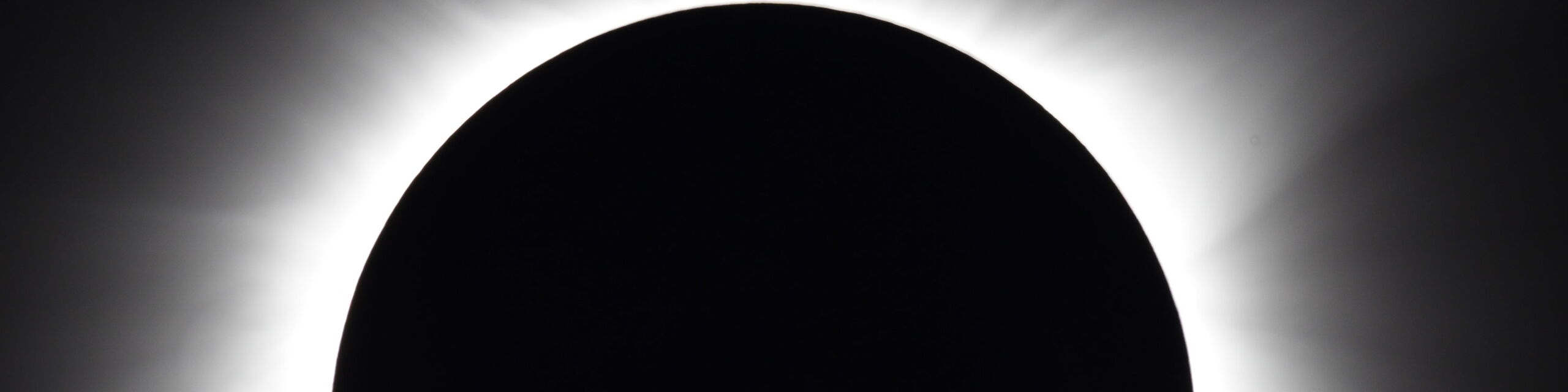 Foto von Laura Skinner auf Unsplash